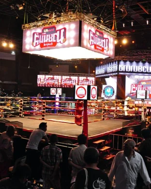 Boxfest XIX